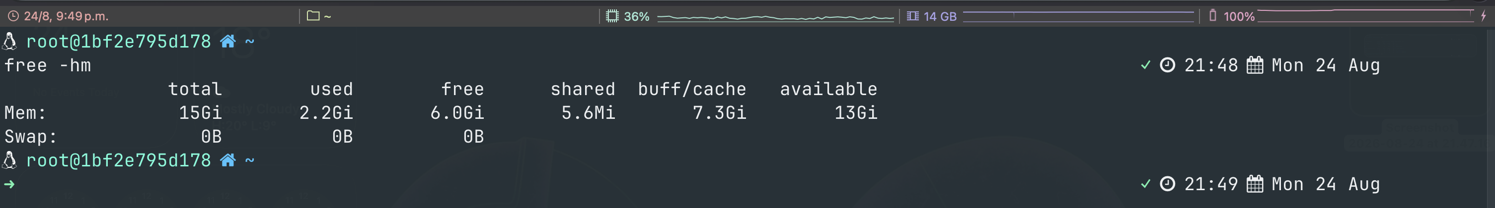 Prompt in nerd-font mode